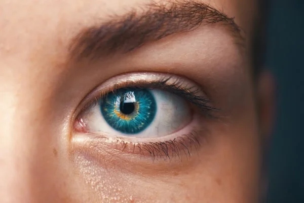 Close-up of a human eye